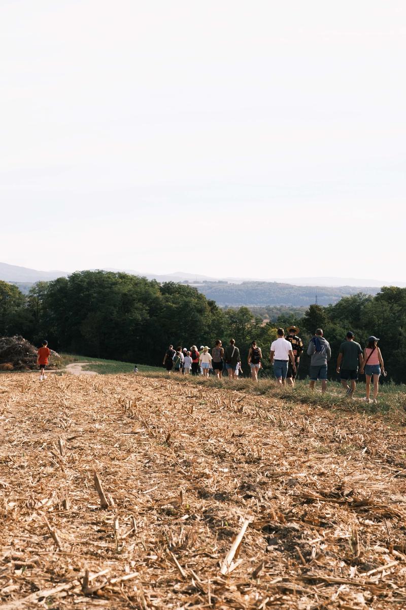 Des marcheurs vus de dos sur un chemin de campagne, sous un grand ciel